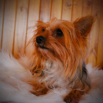 Vettie 1_edited