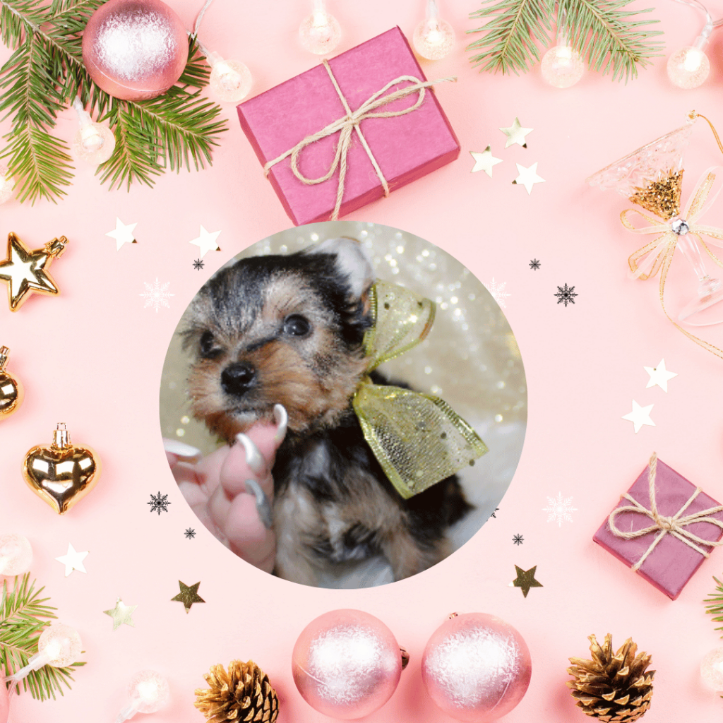 pink modern merry christmas instagram post pink modern merry christmas instagram post